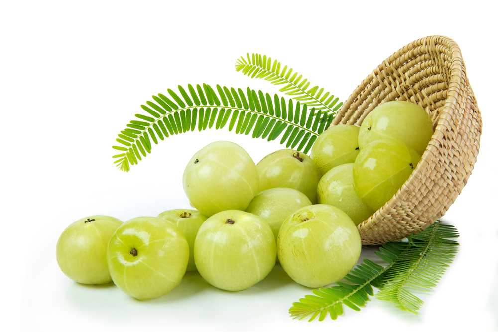 Blogs Image