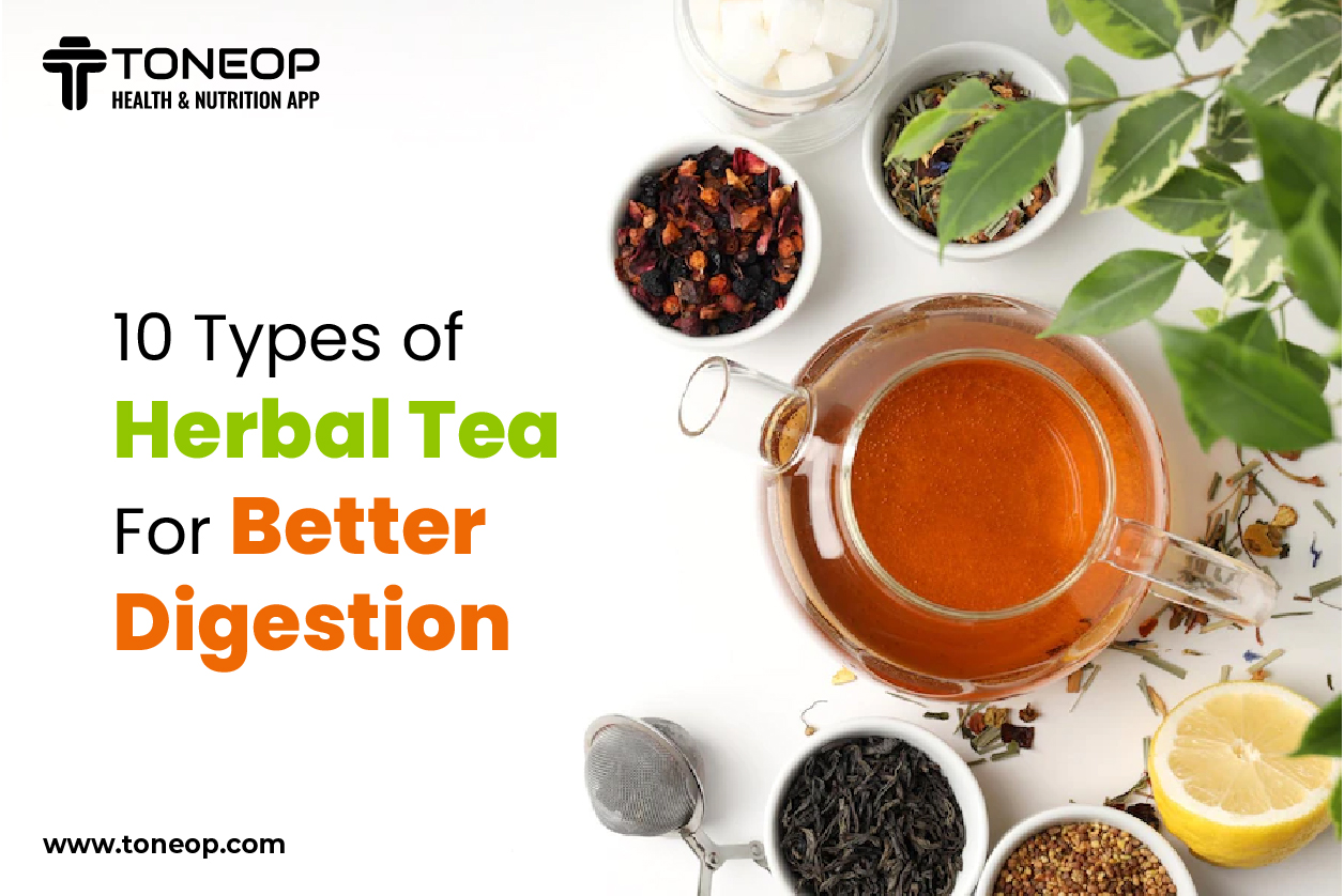 10 Types Of Herbal Tea For Better Digestion ToneOp