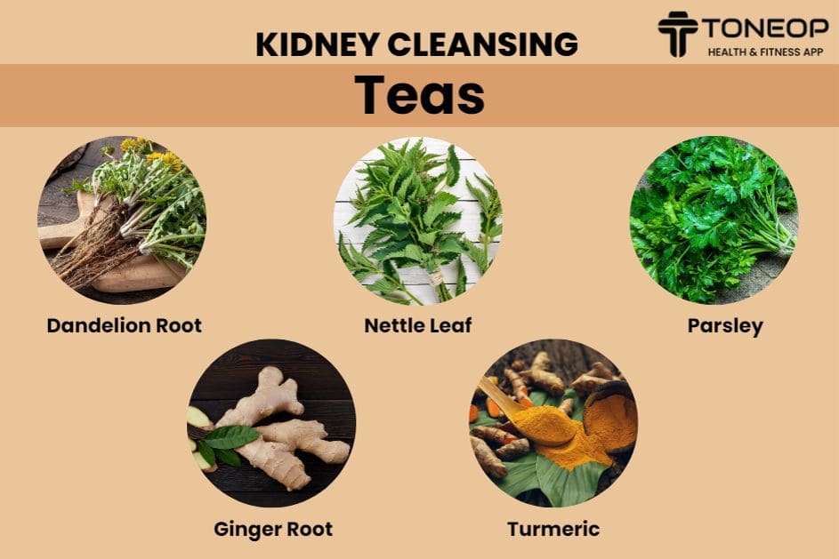 Herbal Teas for Kidney Health: Promoting Optimal Kidney Function